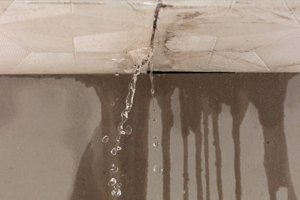 Professional Water Damage Repair technician working in Dorr, MI